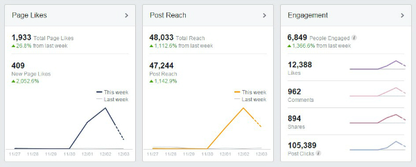 Facebook Insights Screenshot