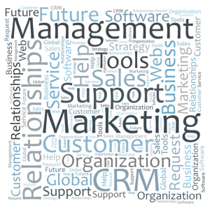 CRM Marketing word cloud