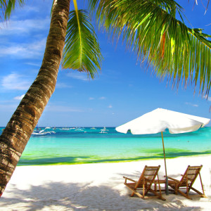 Palm tree chairs and umbrella on tropical beach