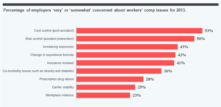 2013_wc_survey_concerns